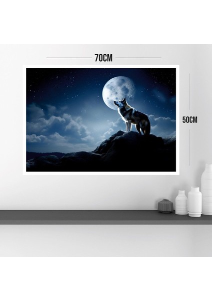 Kurt Doğa Büyük Boy Renkli Solmaz Kaliteli Baskı Çerçeve Görünümlü Mdf Tablo 70X50CM 165 modelleri