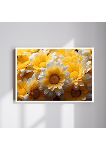 Çiçek Papatya Büyük Boy Renkli Solmaz Kaliteli Baskı Çerçeve Görünümlü Mdf Tablo 70X50CM 37