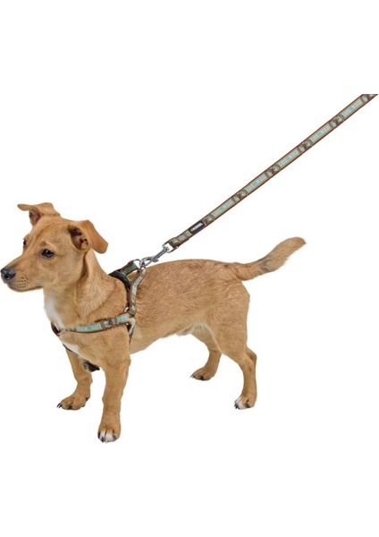 Köpek Göğüs Tasma Wild Life 35 - 60 cm, M fiyatları