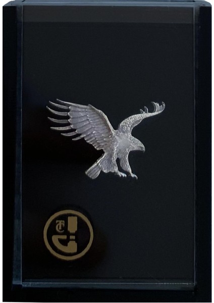 Darphane Beşiktaş Bjk Gümüş Kartal Rozet modelleri