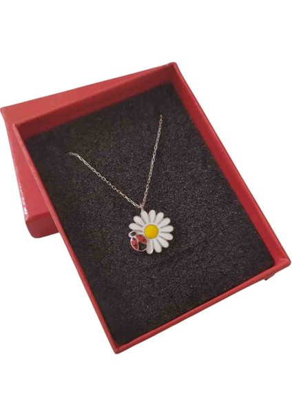 Gümüş Uğur Böceği Papatya Şans Kolyesi fiyatları