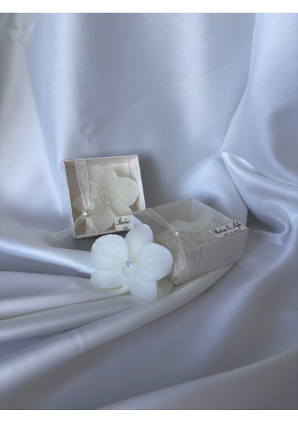 Orkide Mum 10 Adet Doğum Günü,sünnet,söz,nişan,kına,nikah Hediyelik fiyatları