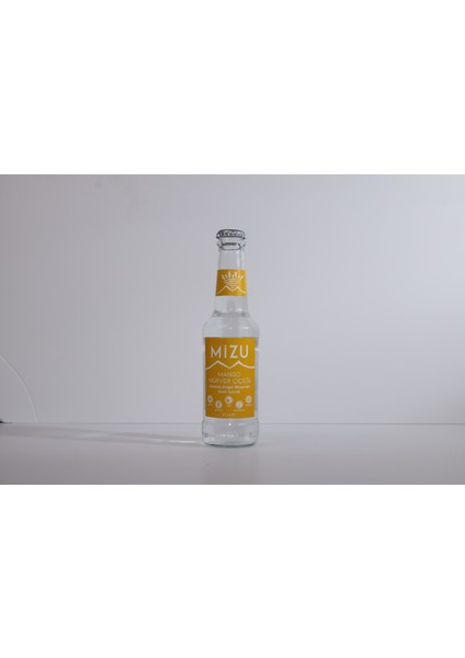 Mango Mürver Çiçeği Aromalı 24 Adet Gazlı Içecek modelleri