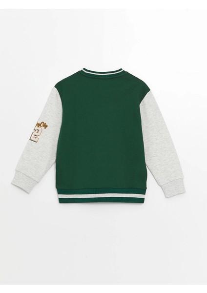 Lcw Kids Yeşil Rahat Kalıp Bisiklet Yaka Erkek Çocuk Sweatshirt fiyatları