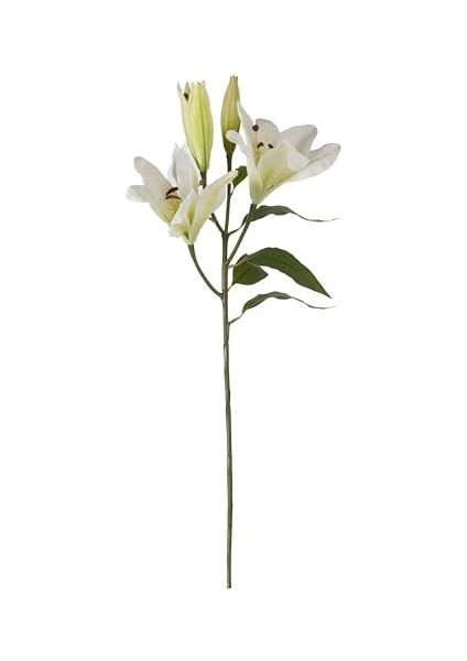 Concept Zarif Zambak Çiçeği Beyaz 75CM fiyatları