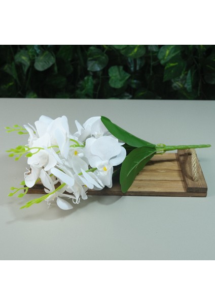 Yapay Islak Orkide 5 Dal Gerçek Dokulu Orkide 44 cm Beyaz