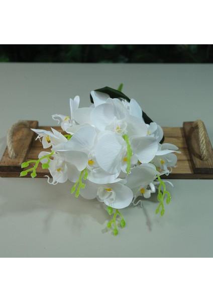 Yapay Islak Orkide 5 Dal Gerçek Dokulu Orkide 44 cm Beyaz fiyatları