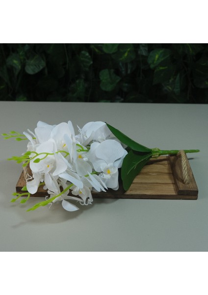 Yapay Islak Orkide 5 Dal Gerçek Dokulu Orkide 44 cm Beyaz modelleri