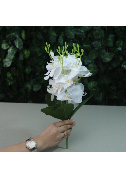 Yapay Islak Orkide 5 Dal Gerçek Dokulu Orkide 44 cm Beyaz fırsatları