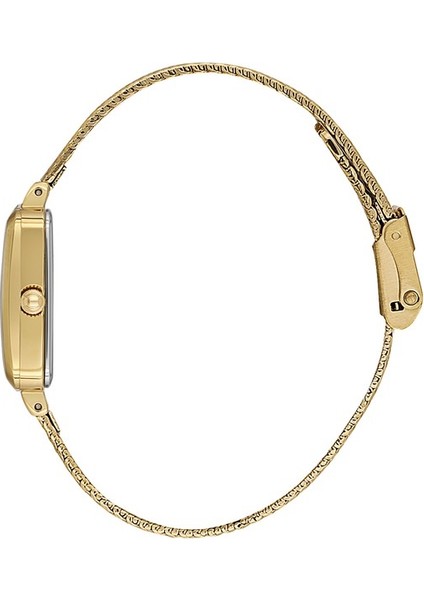 Danıel Kleın DK102-DKE.1.10935-4 Yeşil Kadran Altın Kaplama Dikdörtgen Hasır Kadın Kol Saati fiyatları