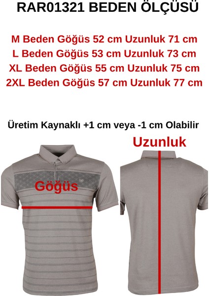 Erkek Tişört Polo Yaka Normal Kesim Desenli RAR01321 indirimleri