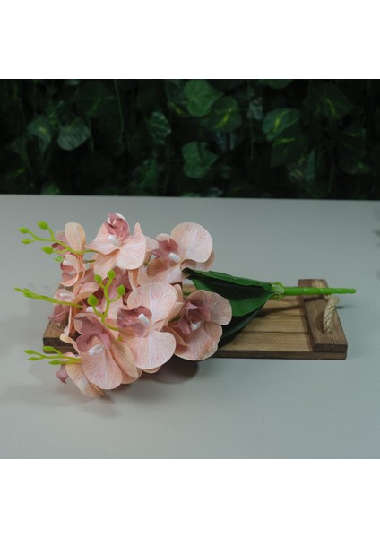 Yapay Islak Orkide 5 Dal Gerçek Dokulu Orkide 44 cm Somon