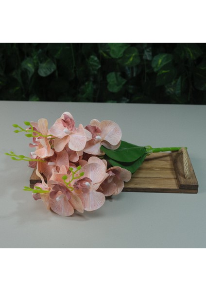 Yapay Islak Orkide 5 Dal Gerçek Dokulu Orkide 44 cm Somon modelleri