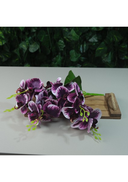 Yapay Islak Orkide 5 Dal Gerçek Dokulu Orkide 44 cm Mor modelleri