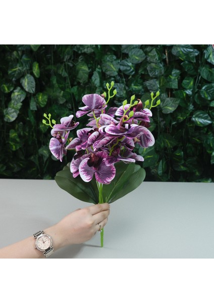 Yapay Islak Orkide 5 Dal Gerçek Dokulu Orkide 44 cm Mor fırsatları