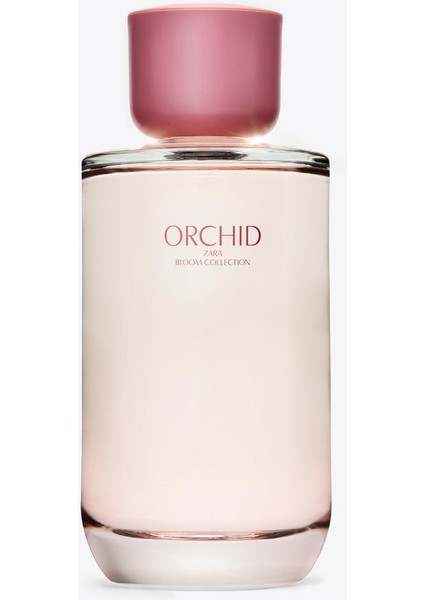 Orchıd Edp 180 ml (6.08 Fl. Oz). fırsatları