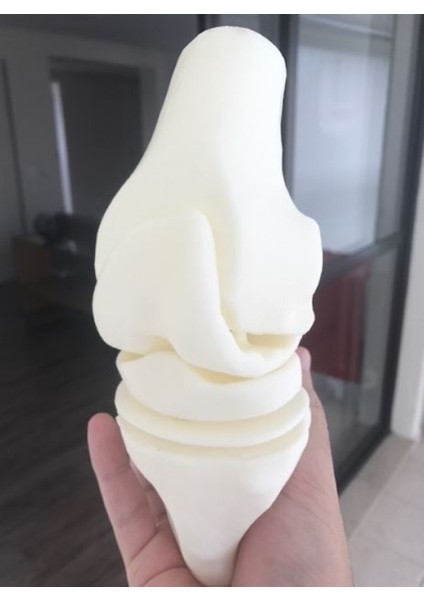 Diz Eklemi Modeli - Diz Eklemi Maketi fiyatları