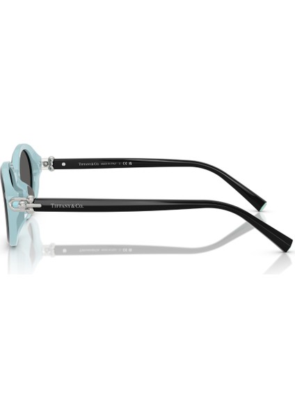 Tf 4242D 8055S4 54 Tiffany & Co. Güneş Gözlüğü fiyatları