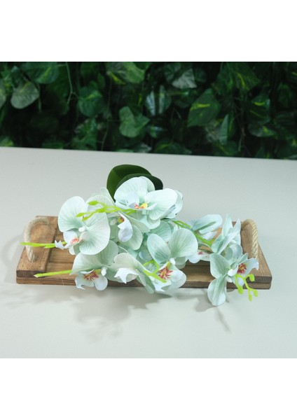 Yapay Islak Orkide 5 Dal Gerçek Dokulu Orkide 44 cm Su Yeşili fiyatları