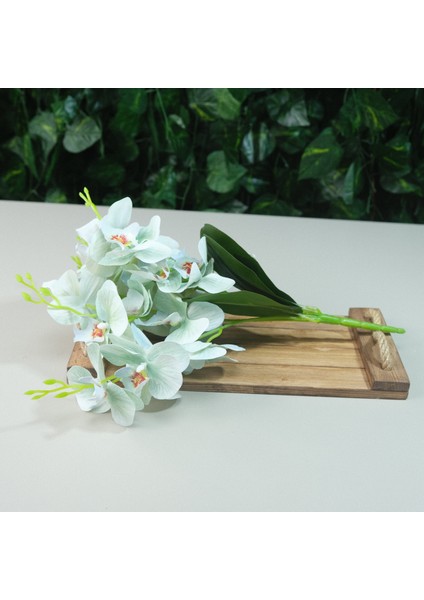 Yapay Islak Orkide 5 Dal Gerçek Dokulu Orkide 44 cm Su Yeşili modelleri