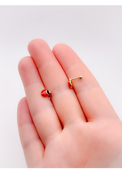 Cerrrahi Çelik Piercing ( Pirsing ) Zirkon Uğur Böceği Tragus Helix Piercing (1ADET) modelleri