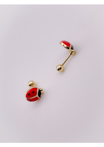 Cerrrahi Çelik Piercing ( Pirsing ) Zirkon Uğur Böceği Tragus Helix Piercing (1ADET) fırsatları