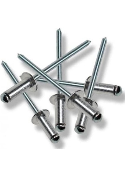 Perçin Pop 5X10 mm (10 Adet)