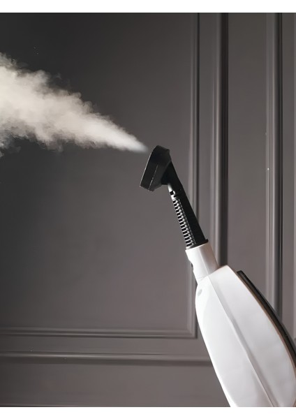 ERG-920 Steam Mop Buharlı Temizleyici Paspas Çok Fonksiyonlu Buharlı Temizlik Makinesi indirimleri