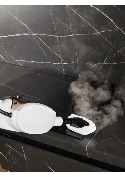 ERG-920 Steam Mop Buharlı Temizleyici Paspas Çok Fonksiyonlu Buharlı Temizlik Makinesi