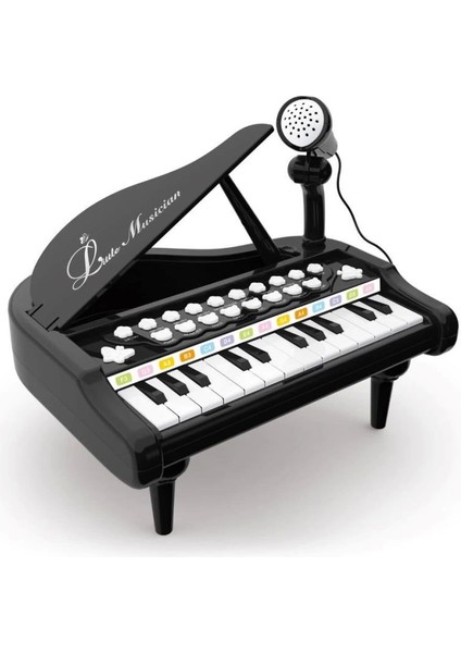 Bfs BAO-1505A Mikrofonlu Mini Piano 24 Tuş Mp3 Çalar indirimleri