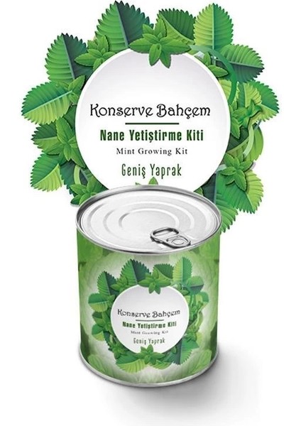 Bfs Konserve Bahçem Nane Yetiştirme Kiti fiyatları