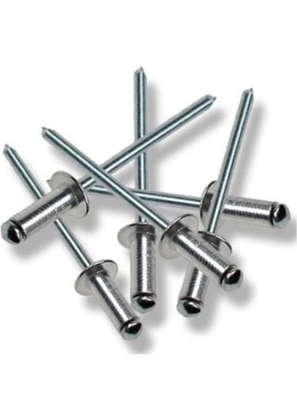 Perçin Pop 4X20 mm (10 Adet)