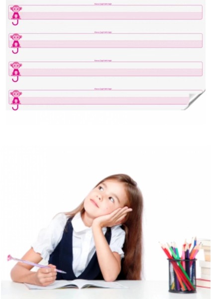 Bfs Kılavuz Çizgili Akıllı Kağıt Yazı Tahtası Duvarda Iz Bırakmaz Statik Yeni Müfredata Uygun 100X56CM