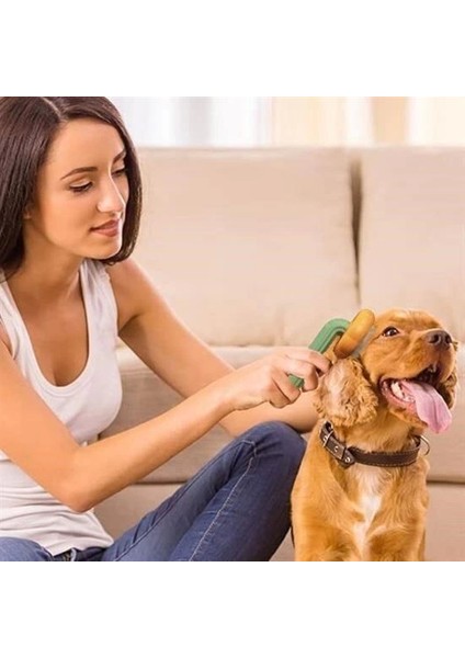 Bfs Plastik Yeşil Evcil Hayvan Bakım Pet Fırçası Çok Amaçlı Pet Fırçası Yeşil fırsatları