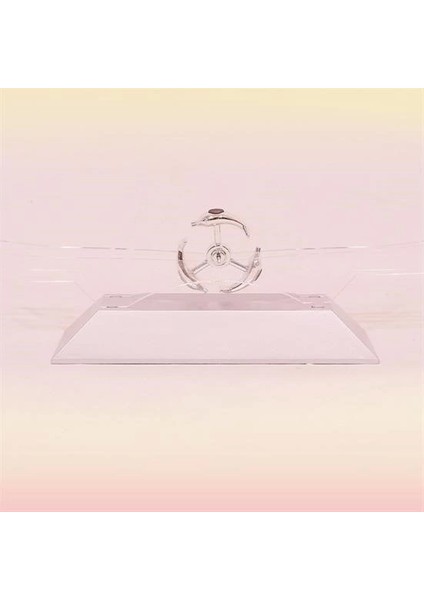 Bfs Dekoratif Masa Üstü Obje Manyetik Kinetik Orbital Dönen Yunuslar