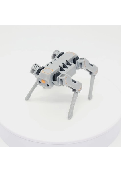 Köpek Robot Oyuncak modelleri