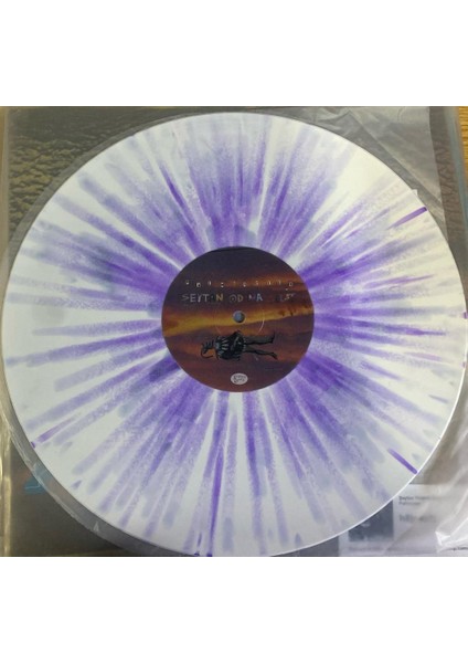 Palmiyeler – Şeytan Odama Geldi