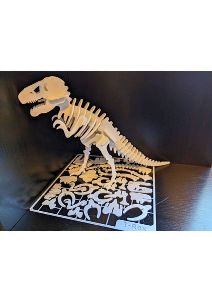 T-Rex Dinozor Maketi