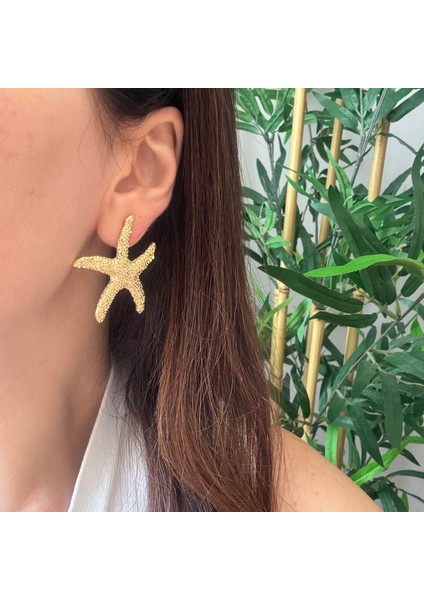 Çelik Deniz Yıldızı Küpe