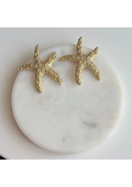 Çelik Deniz Yıldızı Küpe fiyatları