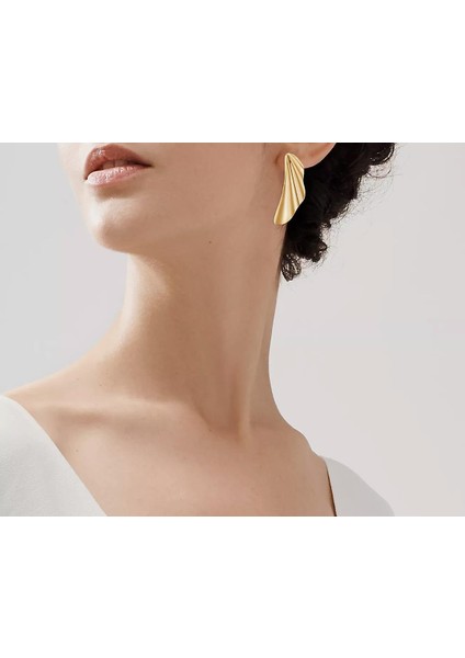 Çelik Elsa Küpe fırsatları