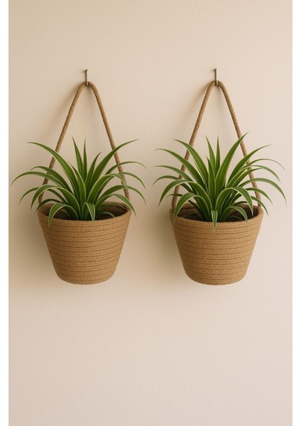 Dekoratif Mini Duvar Çiçekliği 12X10 Cm, Kahverengi, Askılar Dahil Değildir