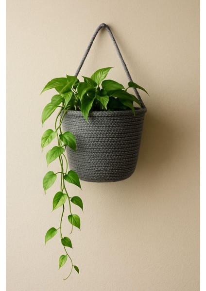 Gri Dekoratif Saksılık ve Çiçeklik Duvar Organizeri 15X15 Cm, Bitki Dahil Değildir
