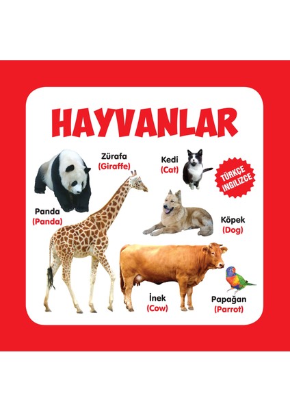 Hayvanlar Türkçe-Ingilizce