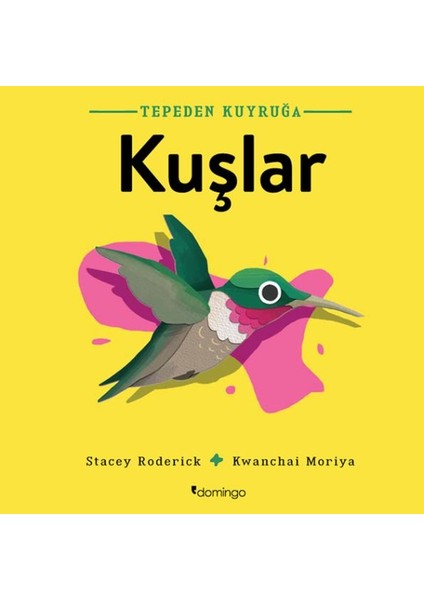 Tepeden Kuyruğa Kuşlar