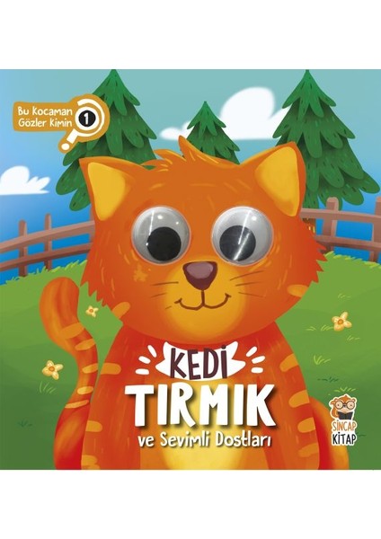 Bu Kocaman Gözler Kimin? 1 - Kedi Tırmık ve Sevimli Dostları