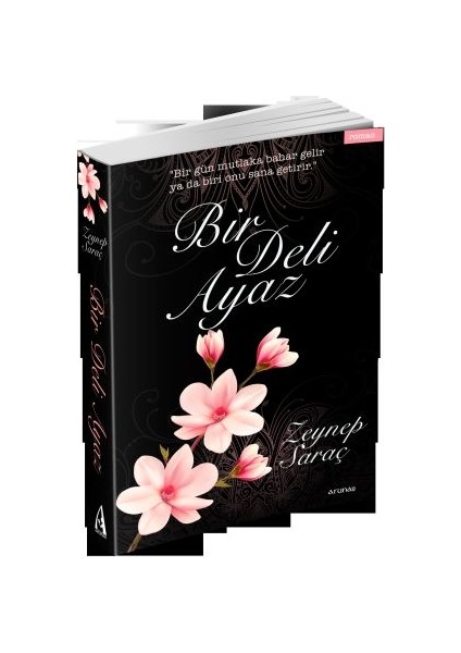 Bir Deli Ayaz