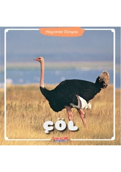 Çöl - Hayvanlar Dünyası