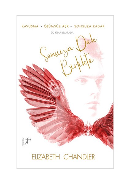 Sonsuza Dek Birlikte + Yapışkanlı Not Kağıdı fiyatları