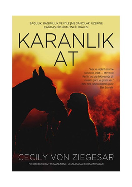 Karanlık At + Yapışkanlı Not Kağıdı fiyatları